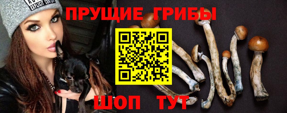 Королёв  Галлюциногенные грибы Magic Shrooms  Вход с VPN  Псилоцибиновые грибы ЛСД 